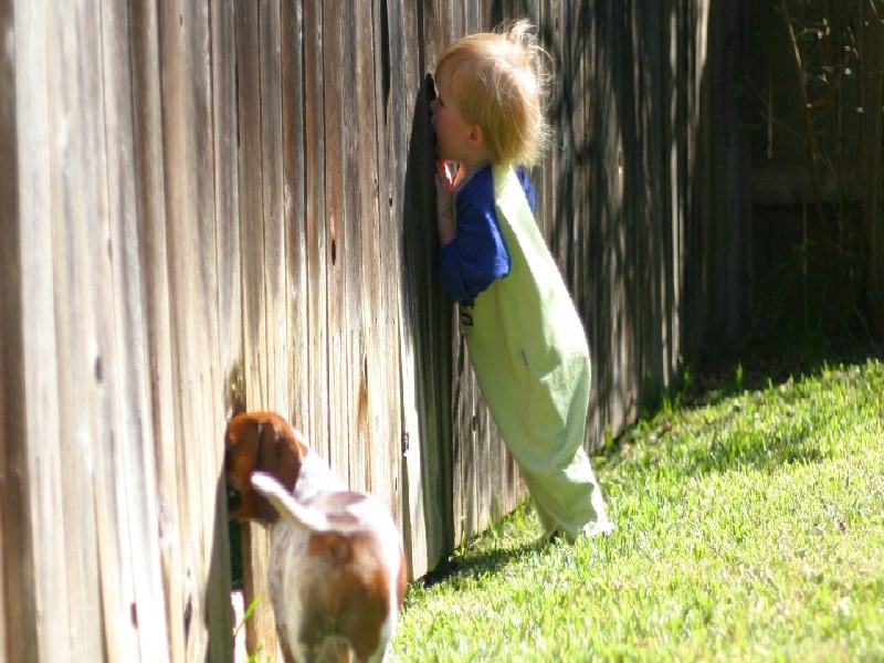 试管阿司匹林淤青青岛试管婴儿需要华西试管周末建档